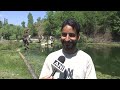 Hundreds Join Traditional Fish Festival At Panzath Nag In Kashmir