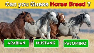 Can You Guess the Horse Breed?  Test Your Equine Knowledge! Net Worth