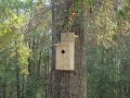 Build a simple Birdhouse Build a simple Birdhouse
