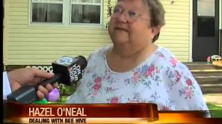 Bees attack Ashtabula family