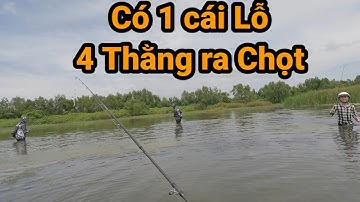Câu Cá Lóc Tràm Chim Cù Lao || 4 Thằng 4 Cần Lội Ra Tìm Hugo || VR Fishing #80