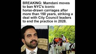 BREAKING: Mamdani moves to ban NYC's iconic horse-drawn carriages after more than 150 years, s