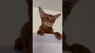 I Want To Be Where The People Are