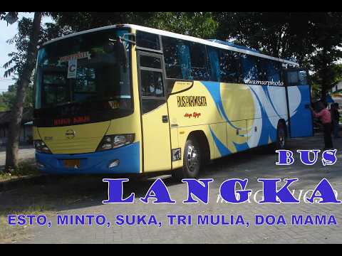Bus 77 Near Me
