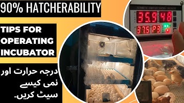 How to Set Temperature & Humidity of XM 18D Controller for Egg Incubator | Automatic Egg incubator