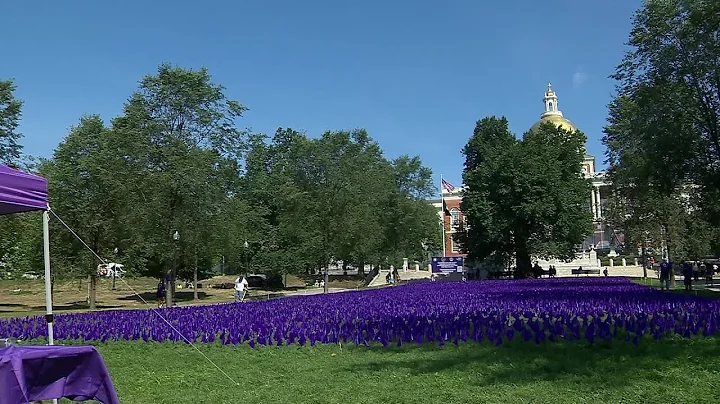 20,000 purple flags honor lives lost to drug overdoses in Mass.