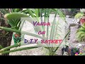 Vanda on diy basket