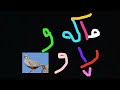 ماکەوی ڕاو باشترین سەوتی ماکەو بۆ ڕاو