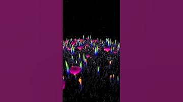 [TD Lab] Plants II #TouchDesigner