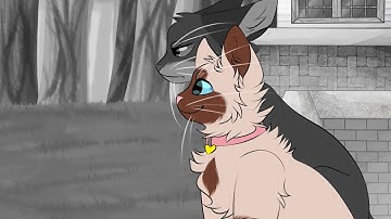 Little Bird (Serenity MAP) - Part 1