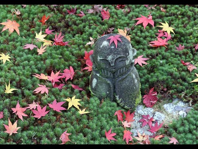 ちいさい秋みつけた - YouTube