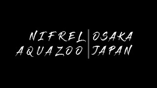 Nifrel Aquazoo | Osaka | Japan