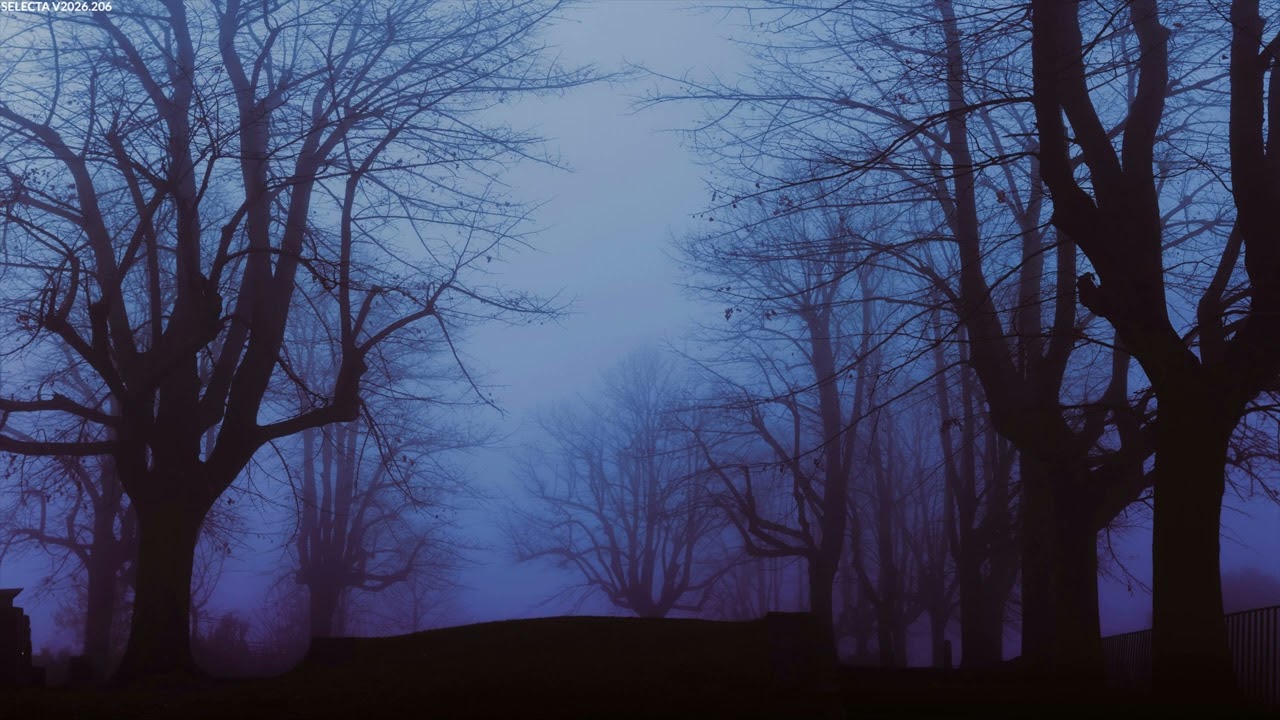 SELECTA V2026.206 (BASS/DUBSTEP/140)