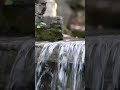 Waterfall with Meditation Music to Give Your Mind Peace