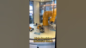 High-Precision Industrial Robot Handling Eggs | Stäubli Robotic Arm Accuracy Test