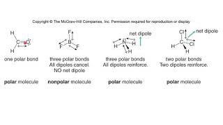 Exclusive Chapter 3.8 - Electronegativity and Polarity Details