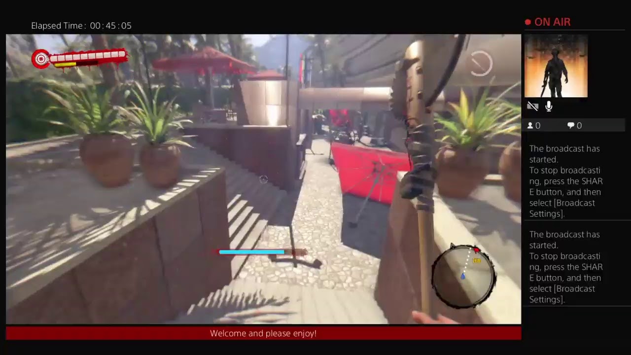 Frosty's Paradise Island