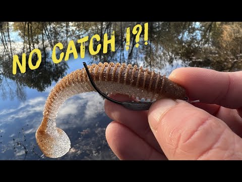 I'm FISHING without a HOOK, what you're ABOUT TO SEE is SURPRISING #fishing #pike #gironde 4K
