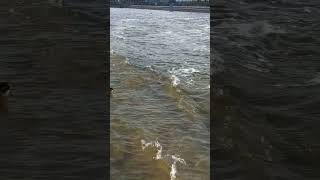 екатеринбург 11 04 2024 вода понемногу прибывает