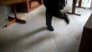 Rebolation Dance  - Victor a.