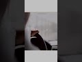 هب نسناس الهواء فلاح المسردي اجمل حاله واتس روعه2018😘♥️🔥 هب نسناس الهواء فلاح المسردي اجمل حاله واتس روعه2018😘♥️🔥
