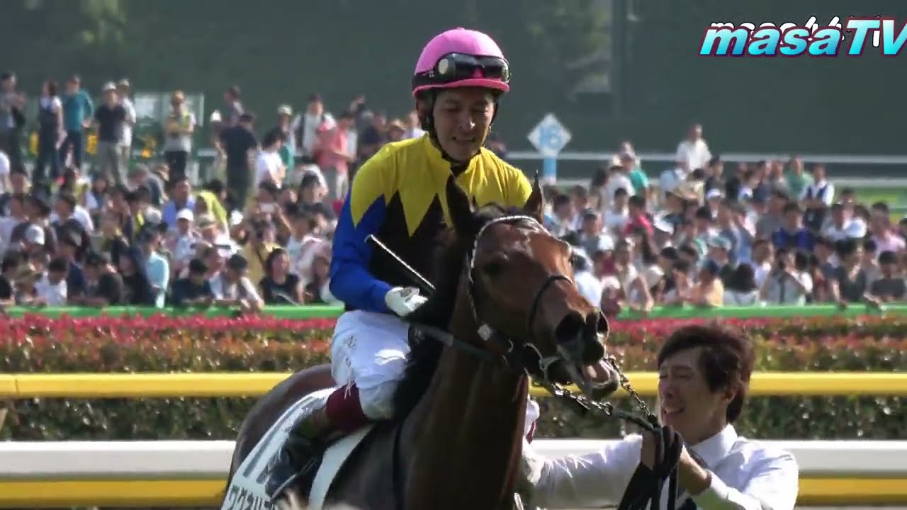 【現地撮影】GⅠレースウイニングラン集(HEROES 英雄 by doubleglass)