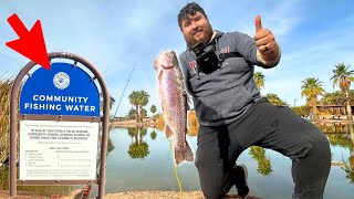 The Ultimate Guide to Catching Stocked Trout in Urban AZ
