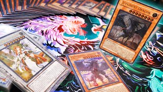 *NEW* Updated Chaos Lightsworn! Deck Profile + Budget Options!