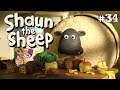 Shaun the Sheep - Domba gendut [Shirley Whirley]