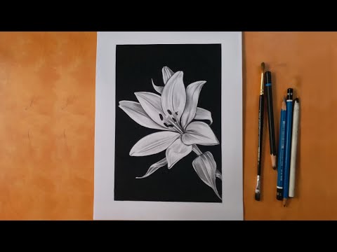 Flower Drawing with White Charcoal Pencil for Beginners