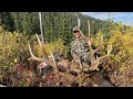 Idaho Archery Elk Hunt SOLO - Stuck N the Rut 141