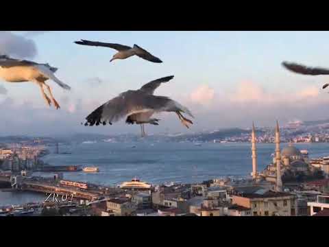 اغنية اجنبية اوه ناه ناه بتقنية 8