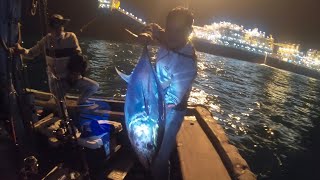 Tập 120: popping cá ngừ vây vàng -yellow tuna fish 20kg - cực kỳ ấn tượng 🇻🇳