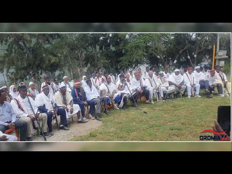 OROMIA11 Oduu 10 1 2025