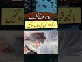 Banjh Aurat K Han Bhi Aulad Ho Jaye Gi | Be Aulad Mian Biwi Ka Rohani Ilaj | Surah Maryam Ka Naqsh