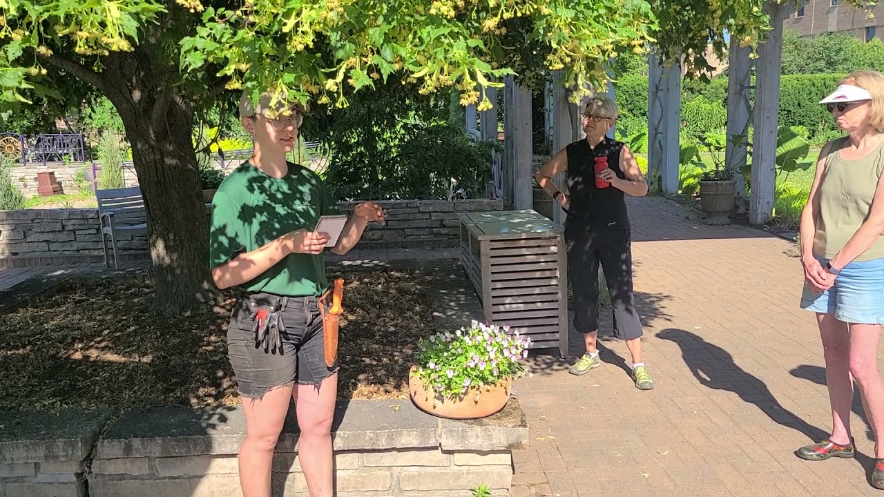 LGBTQIA+ Plant Walk at Allen Centennial Garden