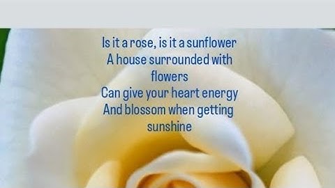 House With The Flowers