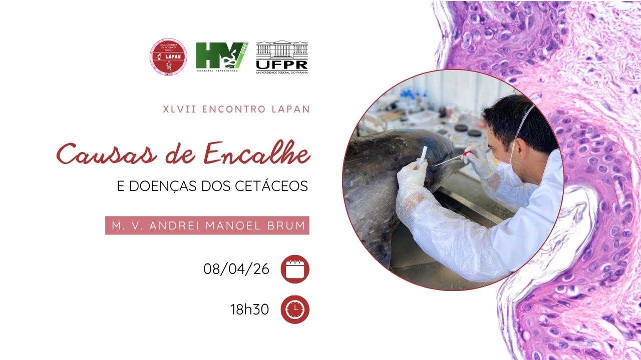 XLVII Encontro LAPAN - Causas de Encalhe e Doenças dos Cetáceos - M. V. Andrei Brum