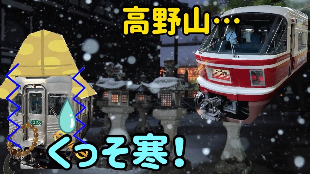 【妄想】南海特急こうや 元旦終夜特急を熱望する