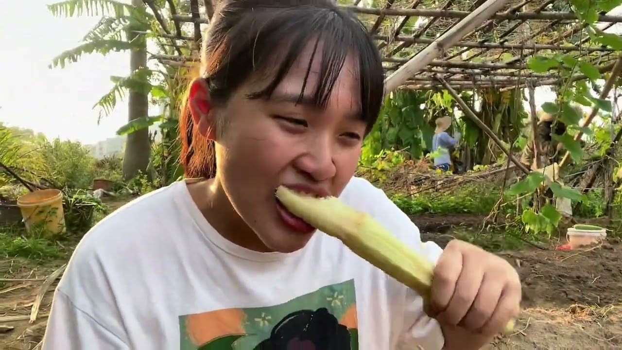 忐忑试探广东靓仔学长的爸妈，看看能否吃到他家的湛江鸡#海哥量地球 #小芬旅记