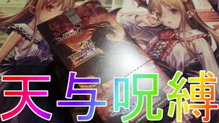 シャドウバース】懐かしの伝説のカード！アニメコレクションカード