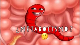 El Cuerpo Humano y metabolismo 🧐
