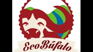 Ecobufalo Campesino una apuesta de la ZRC del valle del rio Cimitarra