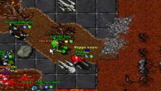 Tibera Warrior Addon service HD!