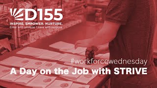 A Day on the Job with STRIVE Students