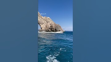 #بندر_بليلة /سورة الزمر #قرآن #اكسبلور #يوتيوب #explore #youtube #short #quran #nature #duet