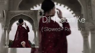 Dil Thaam Ke | Slowed Reverb| Rashmeet Kaur | Rana Majumdar