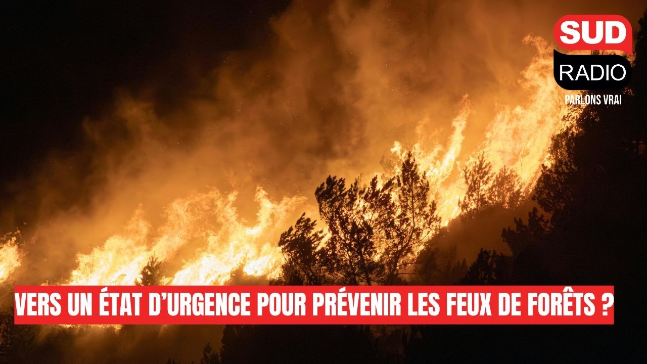Faut-il instaurer l’état d’urgence pour prévenir les feux de forêts ?