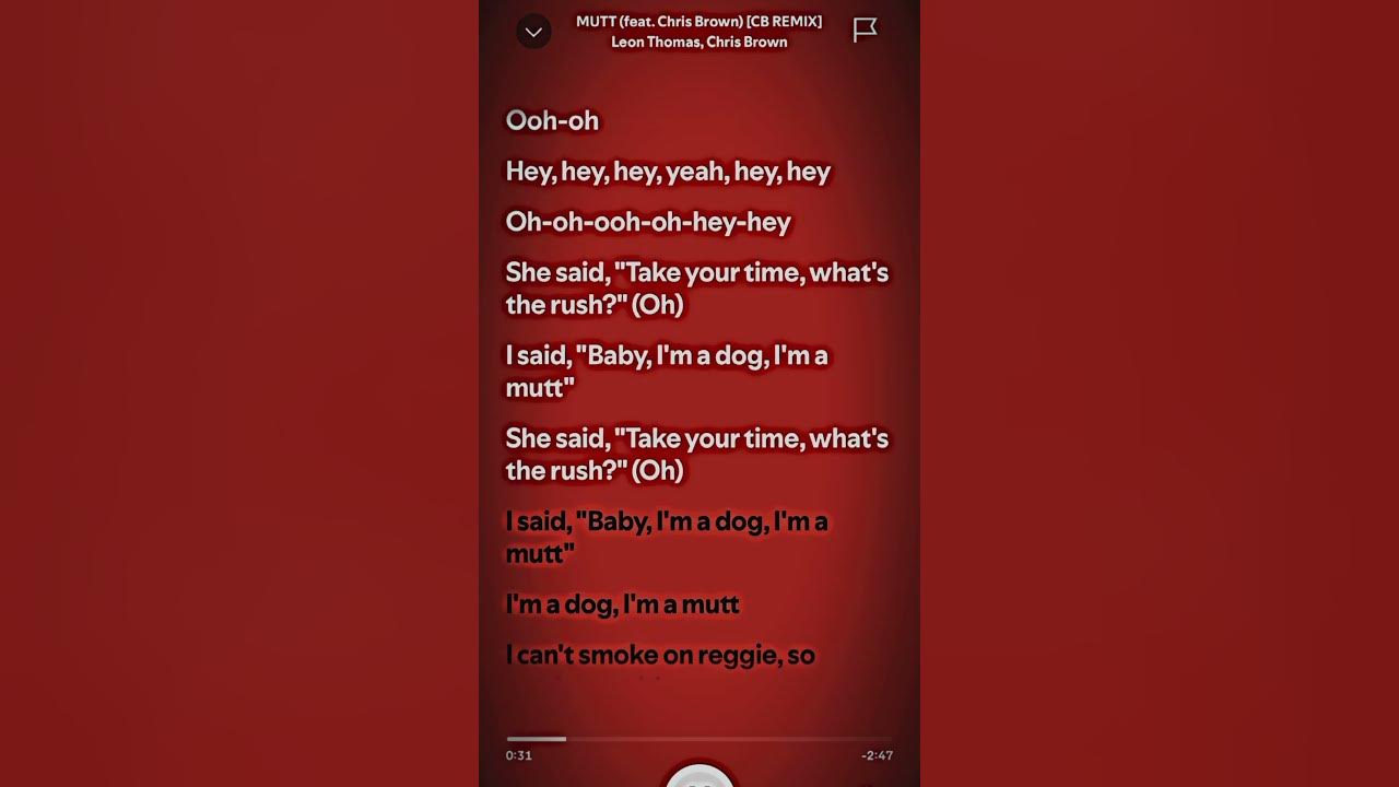 MUTT lyrics #spotify #lyrics #fypp
