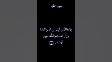 آيات بينات من سورة البقرة للشيخ ياسر الدوسري